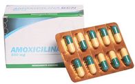 アモキシシリンは500mg半合成抗生の薬物対抗性の細菌を錠剤にします